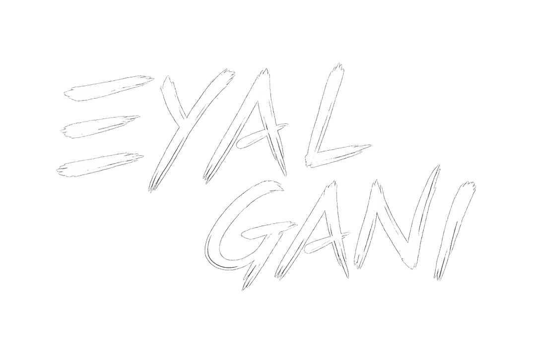Eyal Gani
